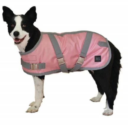 High-Quality Waterproof Windproof Adjustable Metal Buckle Velcro Outdoor Jacket Vest Dog Accessories Apparel Pet Clothes