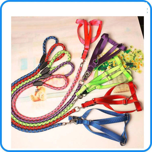 Factory Price Pet Puppy Dog Nylon Pet Collar (HP-107)