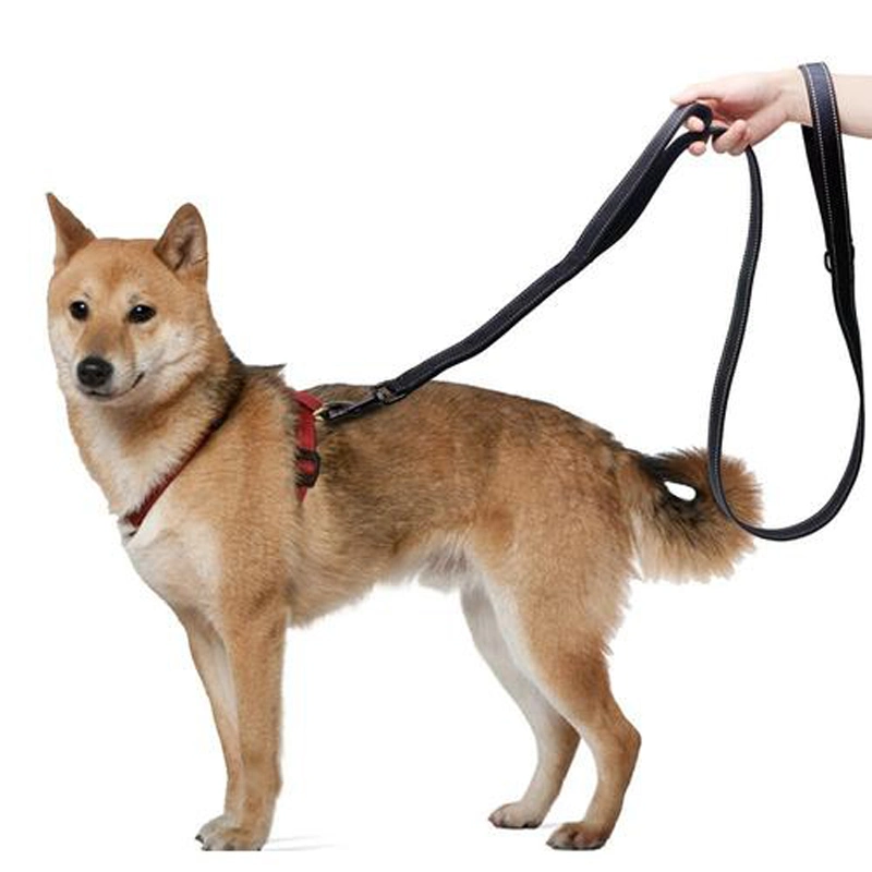 Factory Direct High Quality Eco Friendly Recycled Material Dog Pet Leash