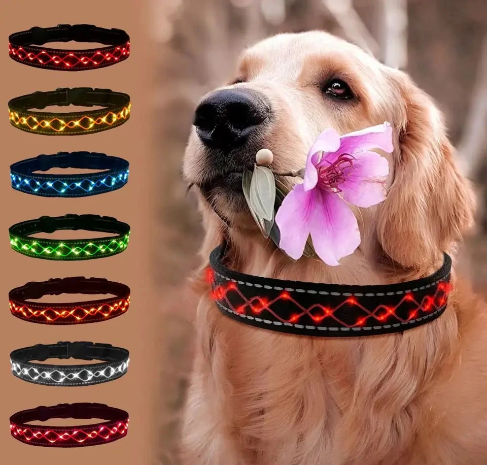 Custom Embroidered LED Pet Collars Adjustable LED Dog Collar