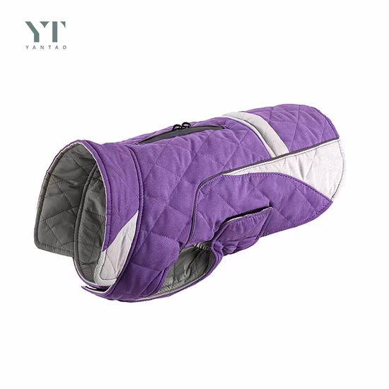 販売のための犬用の熱い販売の高級防水デザイナー ペット服