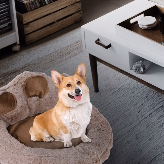 2022年新商品：Can Play Can Sleep、フェルトキャットネストクッション、ソフトドッグベッド