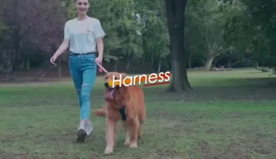 大型犬用サマーベスト、ファッションデザイナー、ペット服、ペットアクセサリー